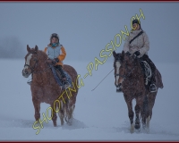 SEMSALES - 0046